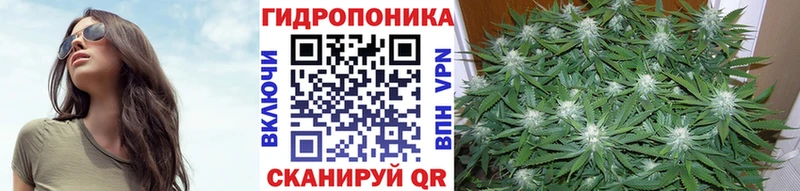 Купить закладки Ханты-Мансийск Бошки марихуана гибрид